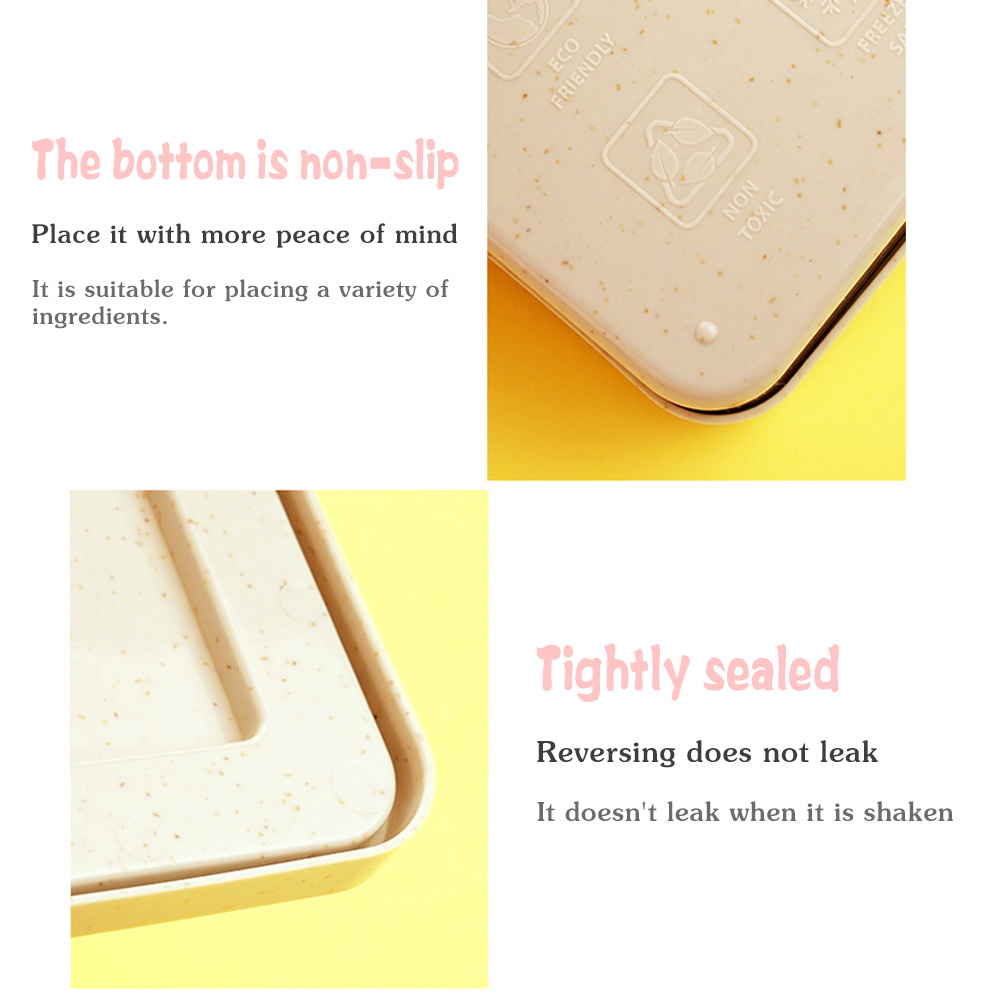 Contenitore per toast e bento, - Bento Box recensione e prezzo